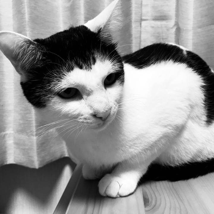 De97dc62 9fb4 41b5 aa2a 775a58f2f026 1528721614273