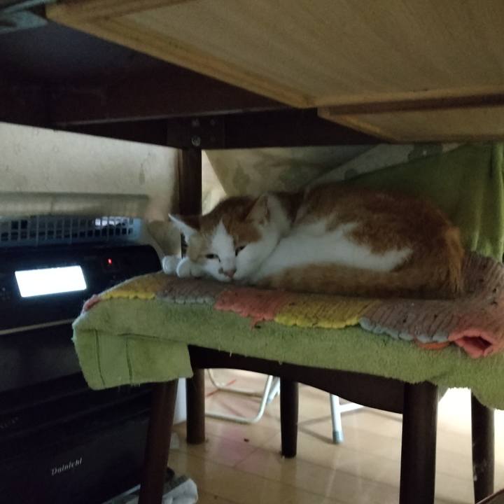 De97e7cd 3f60 4c89 bc83 84d1c29fdd10 1765946183309