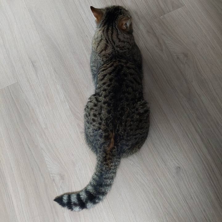 De97f21d 90ff 4584 83a4 0458354ffb72 1627249495544