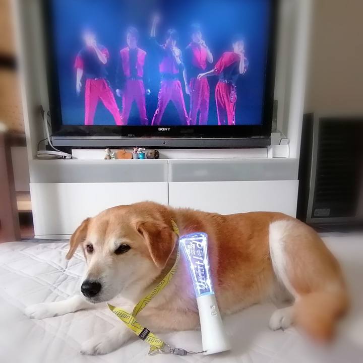 De97fc2e 0e28 4b84 a0b5 4075163824a5 1586735586516