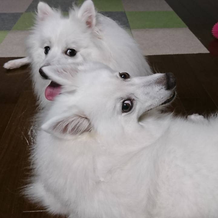 De98208f f2bd 4f9f 98ee 43e737b9c12e 1595858798766