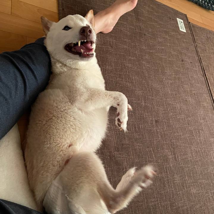 De982f3e 3f81 4039 8997 707d376e5611 1666215946640