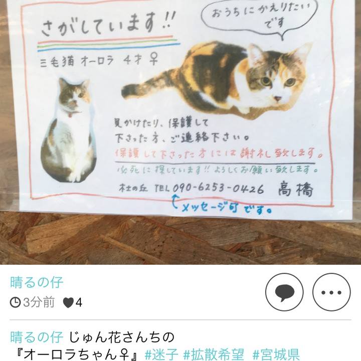 De9832cb fdee 4e47 b11c 1ea4007851bc 1522156713659