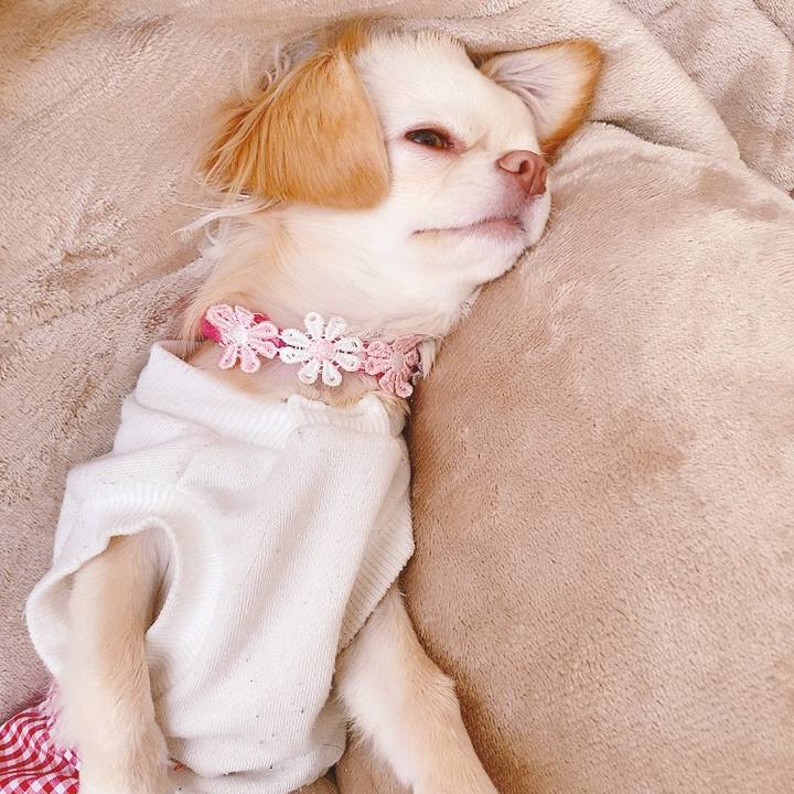 De985489 c15c 4f1b a6d9 3b0a43f1b457 1615782842952