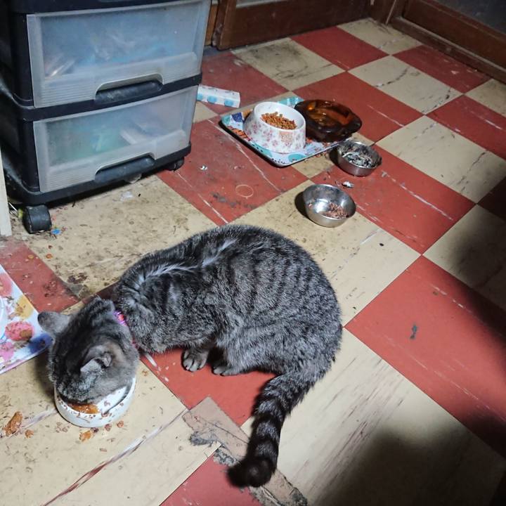 De98785f 837f 4d99 8636 0eb852236cb8 1583268227233