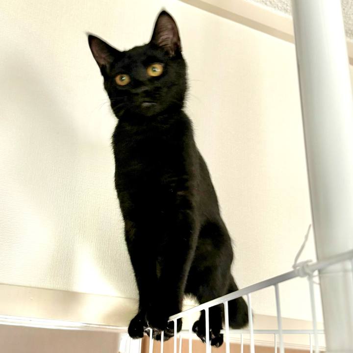 De98a1a6 43e8 48f5 a2a2 26b996e89b19 1725681102577