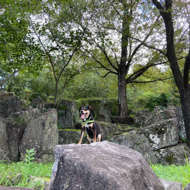 De9902b1 3cd3 436a 9694 4de7c73e5f78 1630930512853