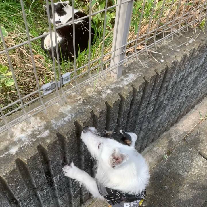 De990db2 839c 4a26 a678 2b4784f470eb 1744935016050