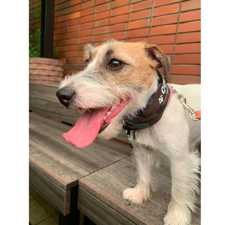 De991be9 004c 4ed6 b5ae 77a938b3990d 1597321650099