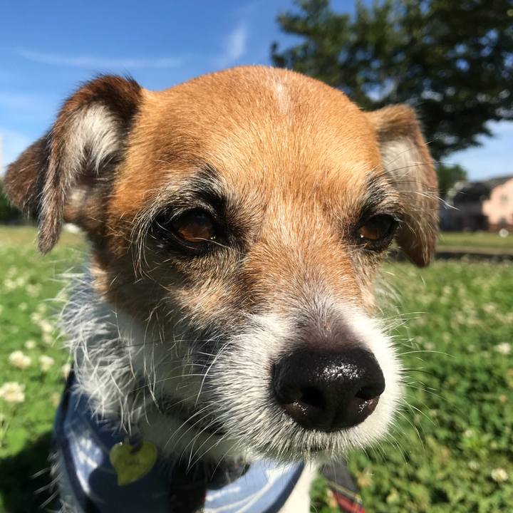 De99841d 56ec 4450 a179 efadceaca3de 1530312216829