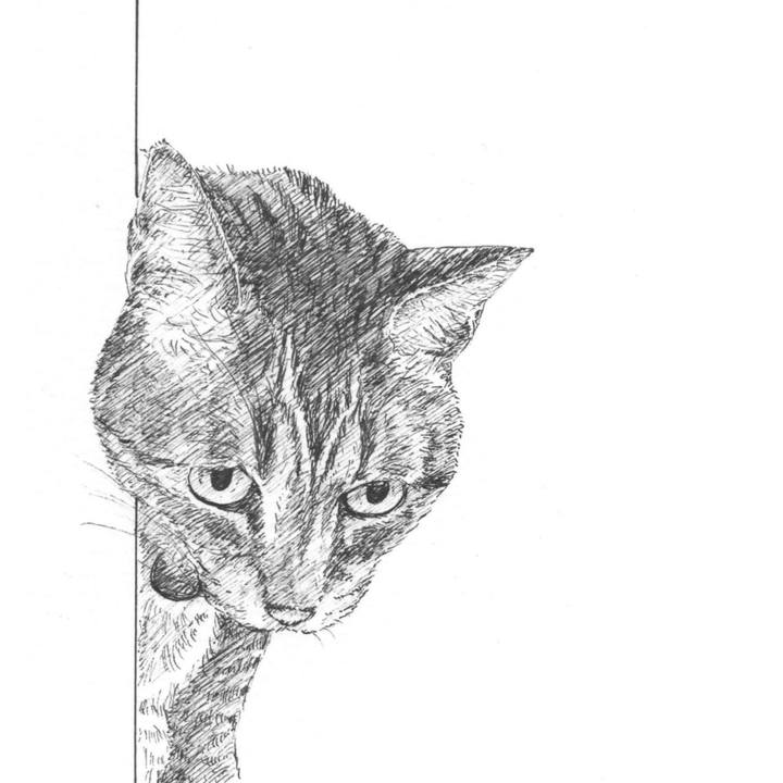 De99e6f2 423b 4806 9da5 3910eba1ab4b 1578404922535