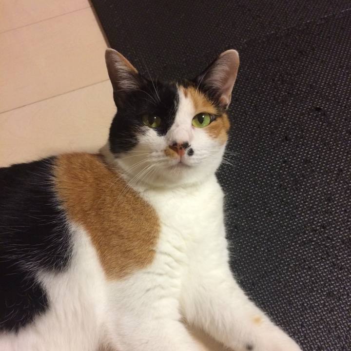 De99eeaf 9e6f 4a15 8cb2 987cd6b3d09e 1598701345149