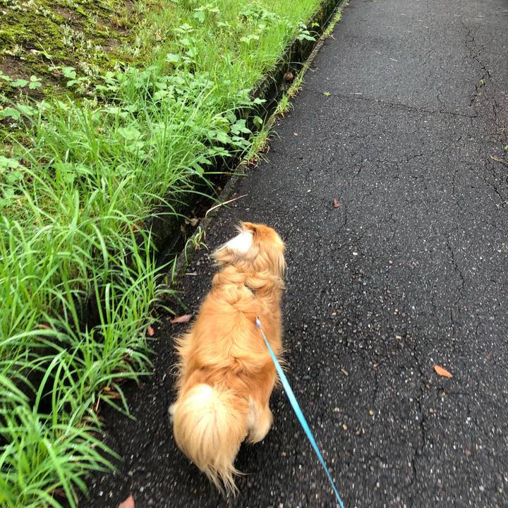 De99fcbf d064 4e03 b083 10868d940d99 1563061171862