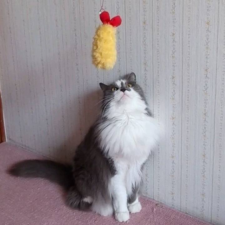 De9a00e3 0f12 4963 b7f6 c606bec33470 1682151130650