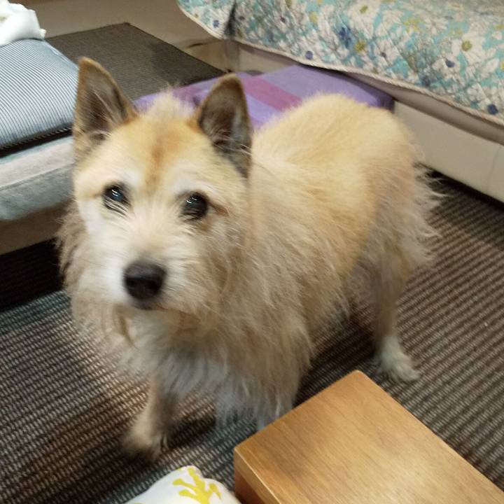 De9a6d09 5743 4321 9423 490815429f84 1559132557136