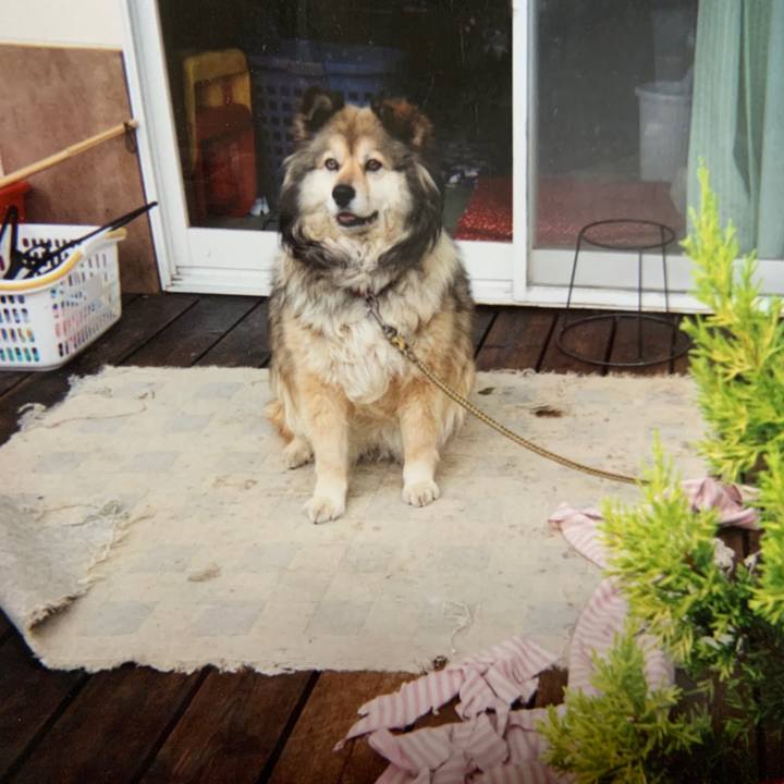 De9a6db0 a680 4a04 b952 0e29b18ca475 1566155725776