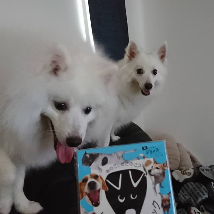 De9a73a4 d96c 4e9e 8212 d5fb126ebcf6 1562727676754