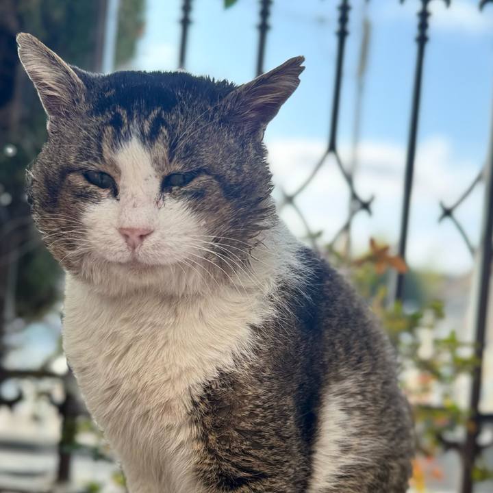 De9a7d0b 7770 4c85 aa78 7546e4efde08 1772710266403