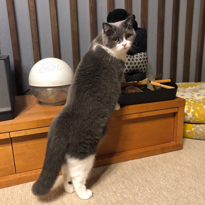 De9a882f f6b0 4e0b 973c cd1c72a6f733 1568980892798