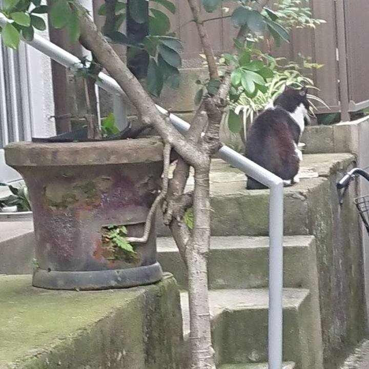 De9a955c 3afd 404a 9c7b 719e00ebfbb3 1685267455687