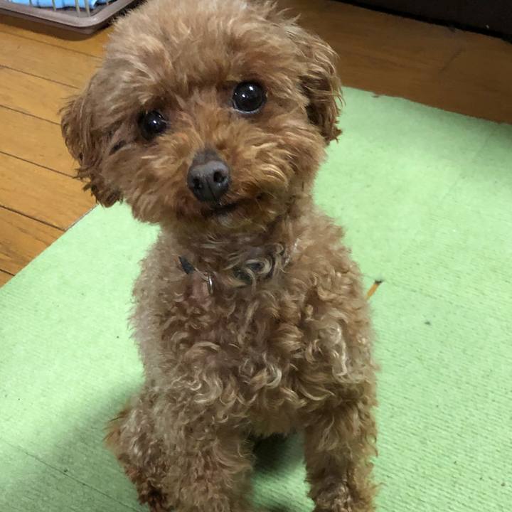 De9a9b6a c422 469d b6a7 557a37bf1d4a 1553911635347