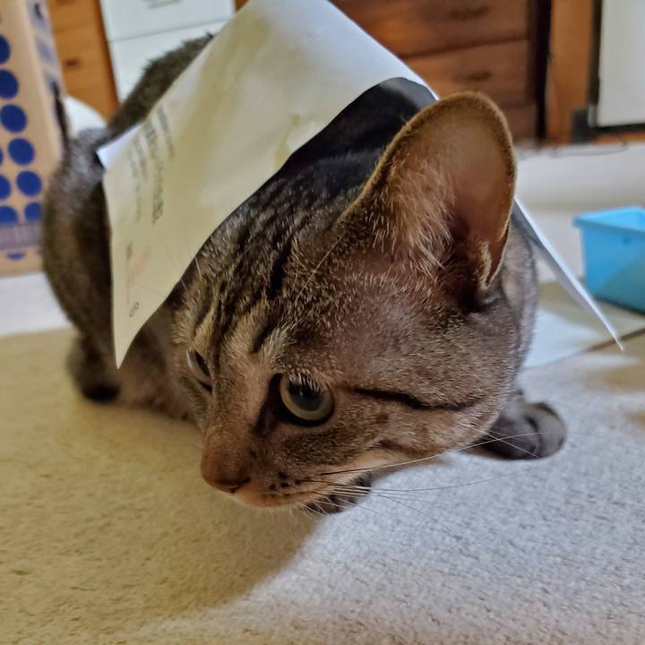 De9ac8b7 f4d5 4014 bb15 efc395a4e4c2 1705635395530