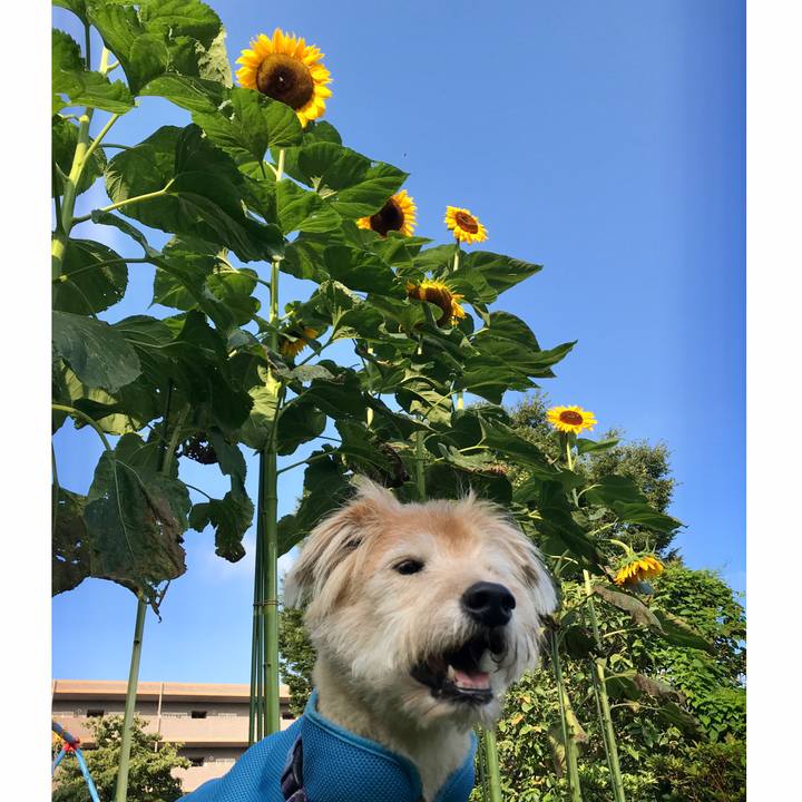 De9b4aa7 d6f0 4888 ab84 c93b75d0b17d 1596509213299