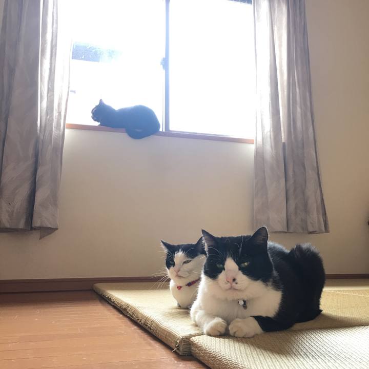 De9b5ac1 4911 4932 b2a8 975d71548bbe 1508895891295