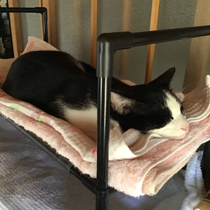 De9b70e2 8b09 4402 9ea3 57d33fc9d9f4 1633236232175