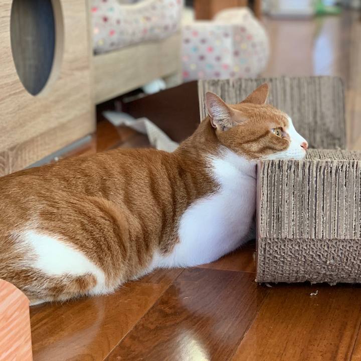 De9b7234 cd35 41ad ab7e f0b631cadd8d 1608244809271