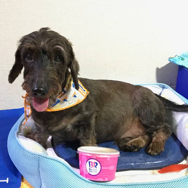 De9bac7c 82df 4f86 8e1e 158d5b7d1684 1535725493287