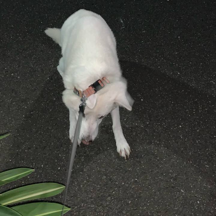 De9c0289 313e 418b 9e02 3dbff69b7799 1570973232087