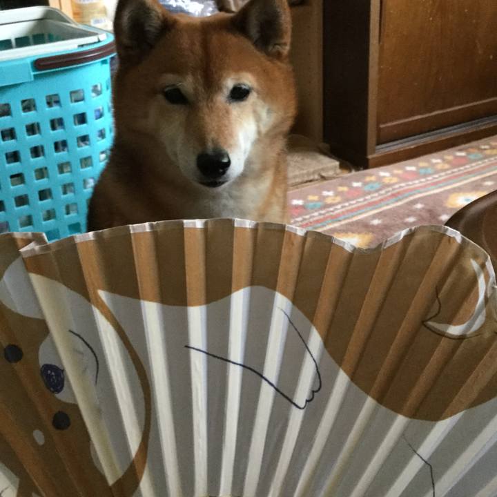 De9c0992 687a 4f65 a8ce 9805cb461649 1557637910013