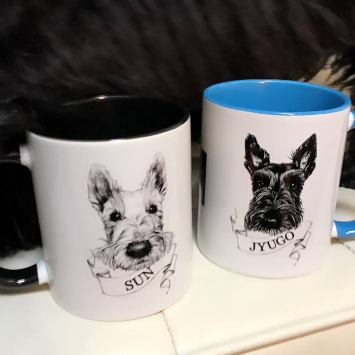 De9c3b77 7b3f 48a4 848e b23323b44fad 1542891627061