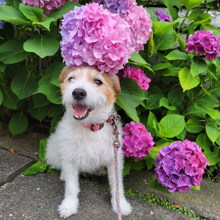 De9c44ae 408f 42ed ae98 139adb288889 1749725532314