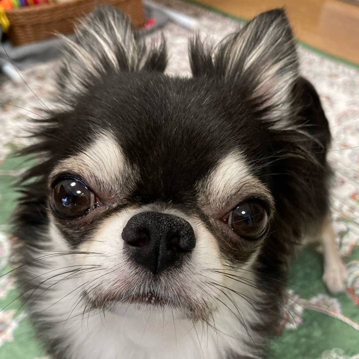 De9c633b e731 4373 9058 5cdee52e042e 1659739442014