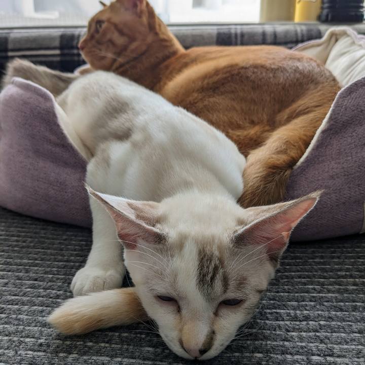 De9c7461 e8a8 4af2 880d e19634ffb5e4 1694839678369