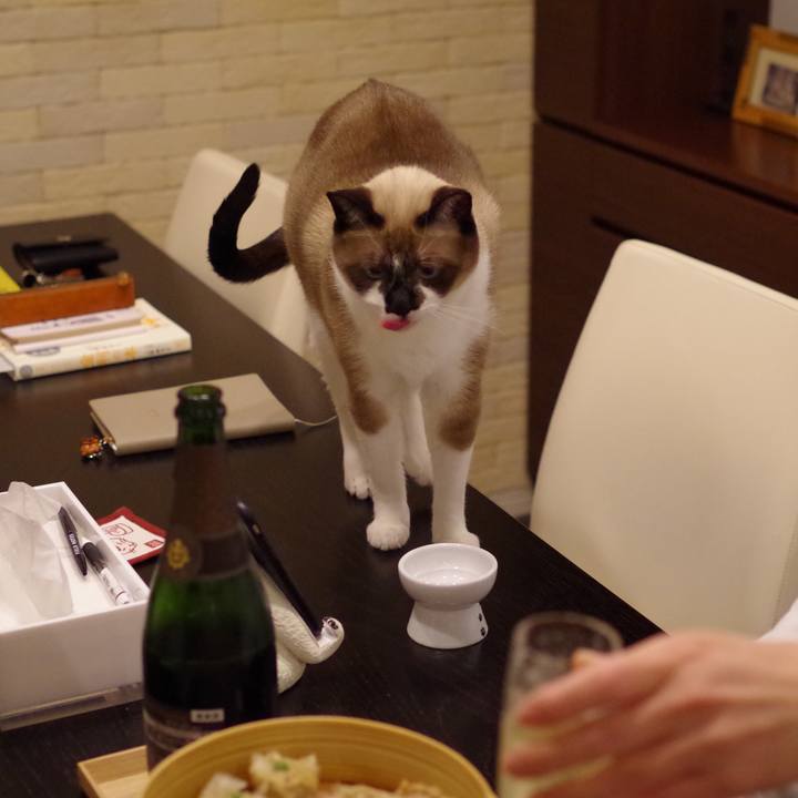 De9c758c 01c1 42ae 85b2 9b11292d606c 1543753365217