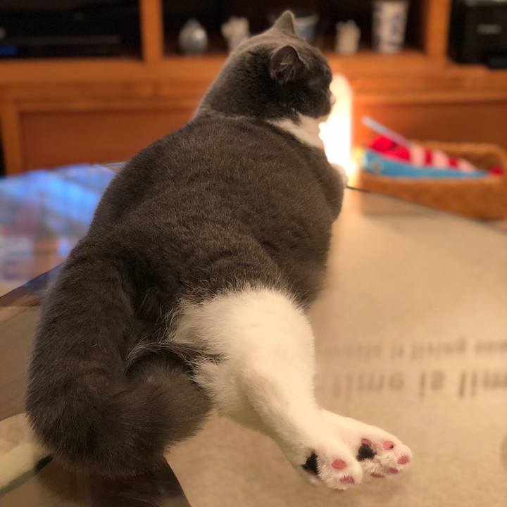 De9ca400 ed6e 4294 b4e0 dd2c9290bd5b 1520037611101