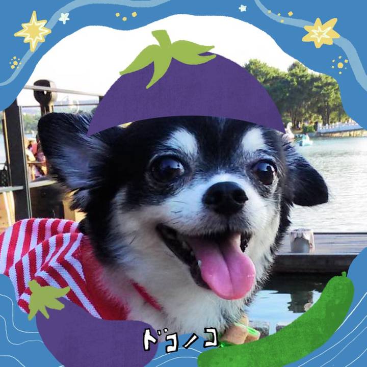 De9ccc65 63fe 457c 92e1 210e9d0da866 1755054399699