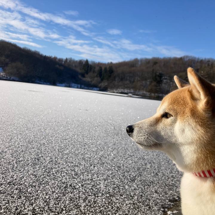 De9cfd77 0531 4691 b86b 1c30f9700ec5 1736035868824