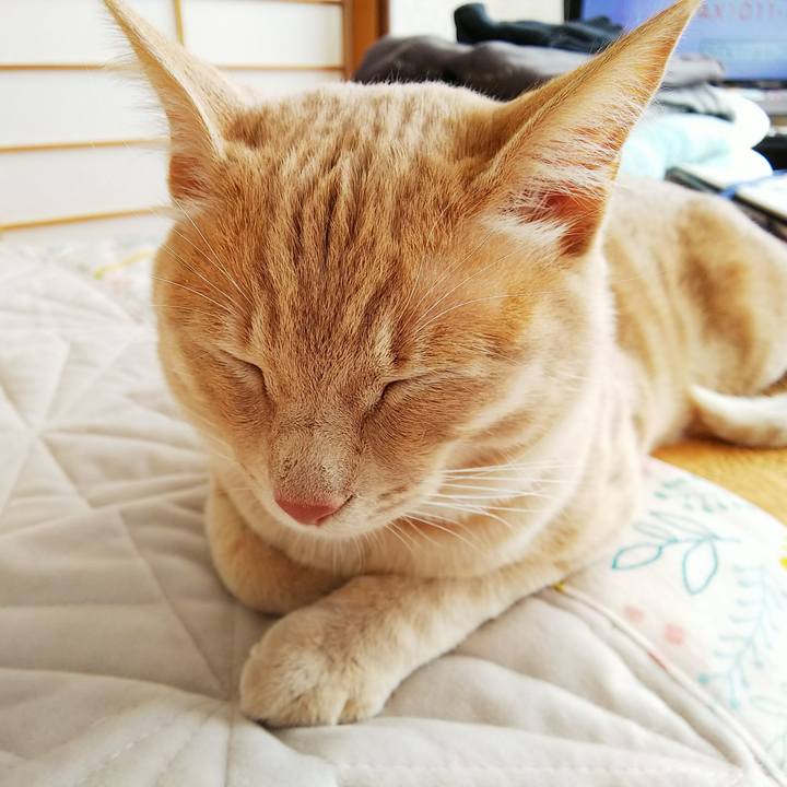 De9d439f 8c16 41a0 881f 76205493a04b 1551404863959