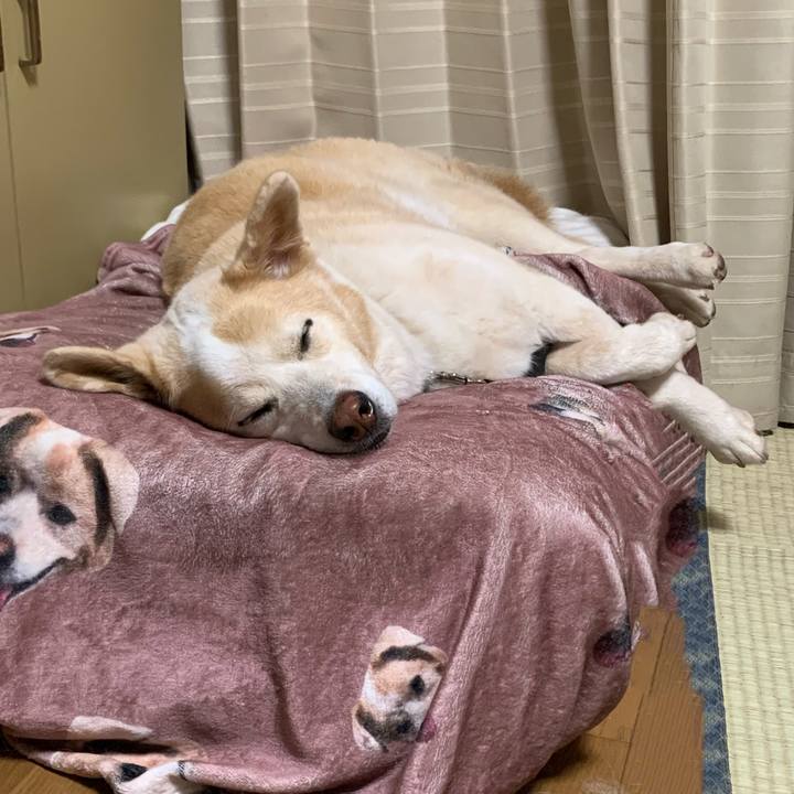 De9d99c2 91ad 40a8 8e60 078af77ce539 1629032479346