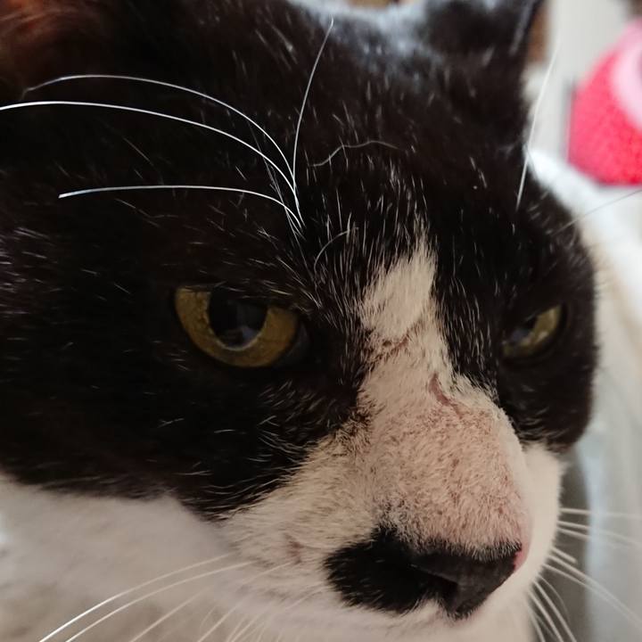 De9d9e10 9c3c 4d1c 9ecd 98b7d40a425b 1611959212177