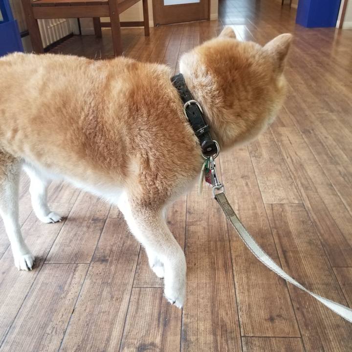 De9d9e76 ee66 4b9b a7bc edd4a5c20bd0 1694403638492