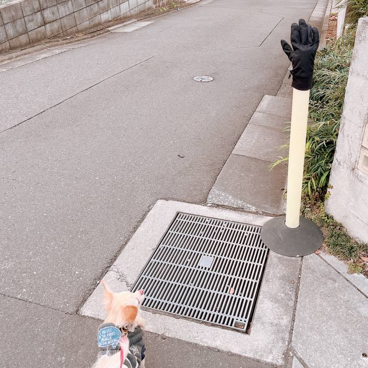 De9da4a3 2f0a 40ff 81f1 9d48df821f3c 1669969747833