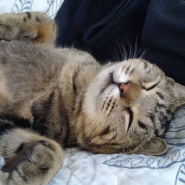 De9db920 b65c 4a49 be03 786de26d0c1f 1699173771496