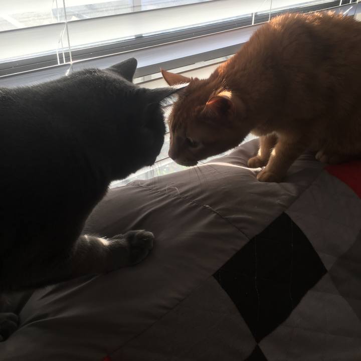 De9de1f4 2889 49a9 981d 4c6ea063d506 1645302084040