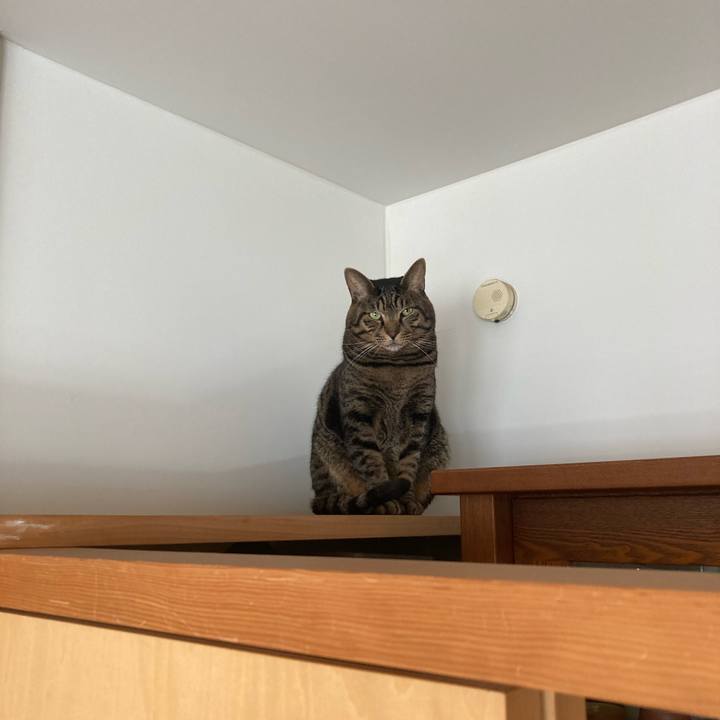 De9e0f8b 8bbe 4ee1 935e 2b93ed5f7290 1735344661830