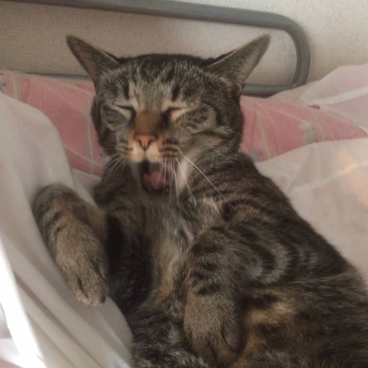 De9e23da d05a 4a9d 906a 0b41e0141af6 1619976404225